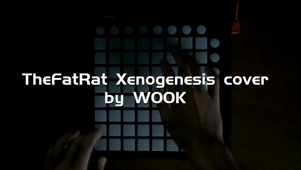 TheFatRat Xenogenesis cover by WOOK[打击垫工程下载]