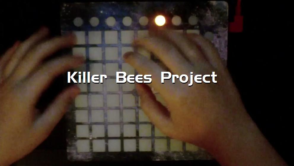 Killer Bees Project[打击垫工程下载]