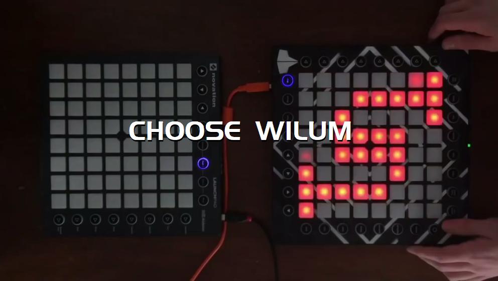 CHOOSE WILUM[打击垫工程下载]