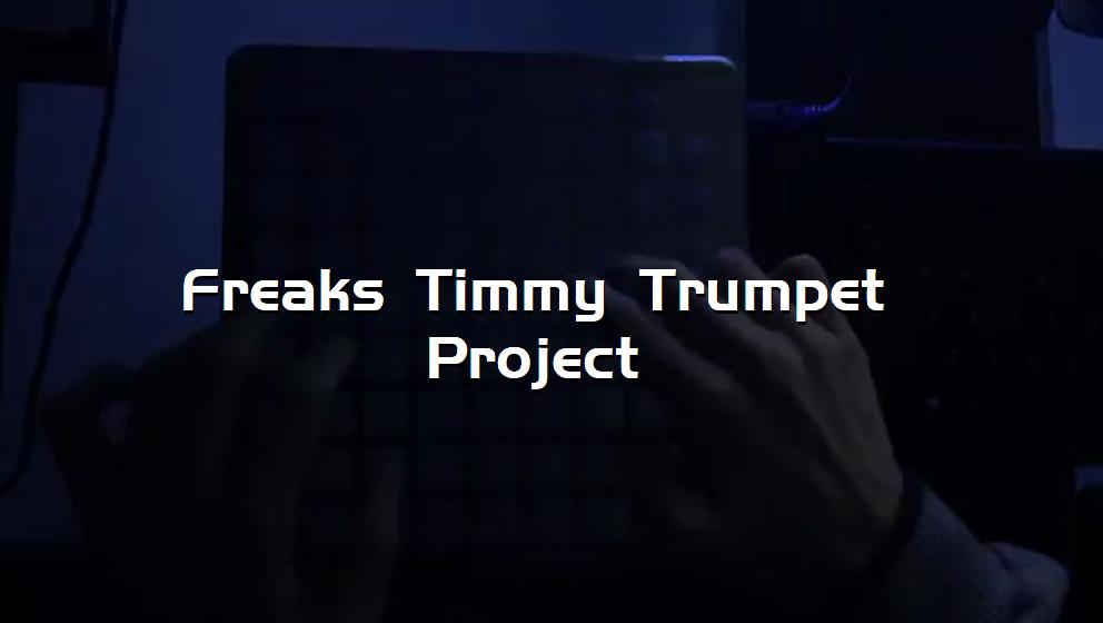 Freaks Timmy Trumpet Project[打击垫工程下载]