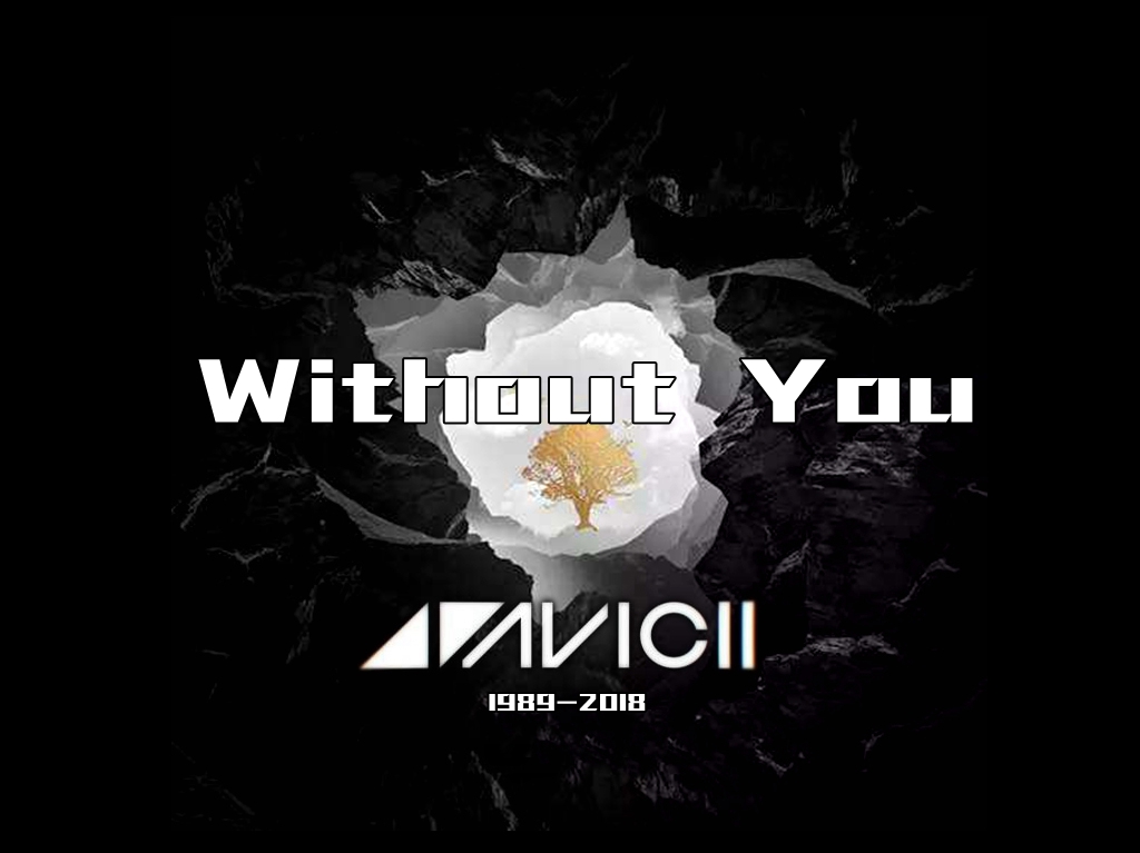 LPDBBS原创工程-Avicii,Sandro Cavazza - Without You Project